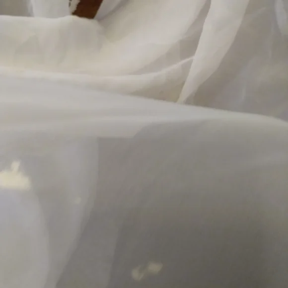 Off-white Sheer Curtain Panels w/lace or Embroidered Scalloped 3" Lace (8 yds) - Picture 6 of 8